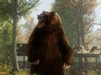 Disney World stoi w obliczu tymczasowego zamknięcia z powodu wtargnięcia niedźwiedzi