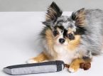 Square Enix stworzyło Buster Sword dla Twojego psa