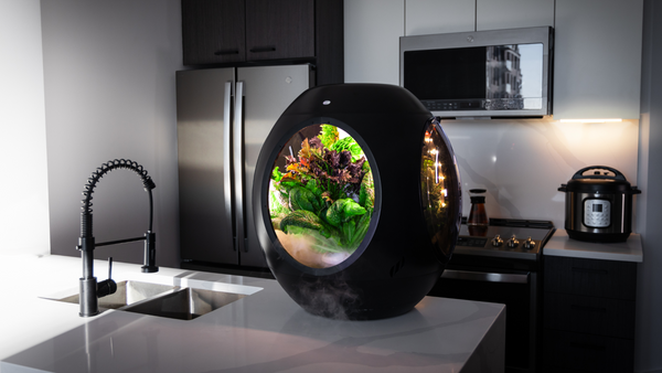 Smart Indoor Garden firmy Plantaform wykorzystuje mgłę do uprawy roślin