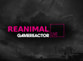 Gramy Reanimal w dzisiejszym GR Live