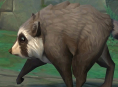 Wirusowy szop Jimothy nadchodzi do World of Warcraft 