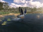 Demo Birding Simulator dostępne dla graczy w ramach Steam Next Fest 2022