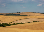 Oczekuje się, że więcej części Anglii zostanie ogłoszone suszą