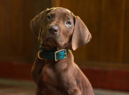 Scooby-Doo będzie prawdziwym psem w aktorskiej serii prequeli Netflix Scooby-Doo: Origins 