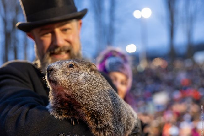 Punxsutawney Phil przewiduje sześć kolejnych tygodni zimy w Dzień Świstaka
