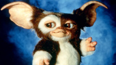 Steven Spielberg i Chris Columbus kontrolują losy franczyzy Gremlins